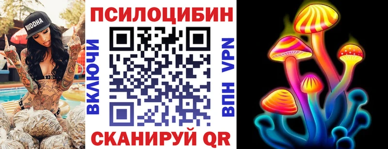 Галлюциногенные грибы MAGIC MUSHROOMS  где купить наркоту  мега ссылка  Нововоронеж 